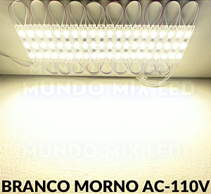 MODULO LED DIRETO NA ENERGIA 1,5W 1,5W BLINDADO