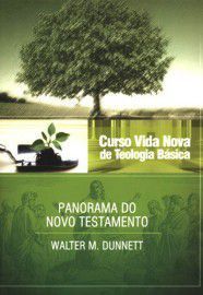 Curso Vida Nova de Teologia Básica - Vol. 3 - Panorama do Novo Testamento / Walter M. Dunnet