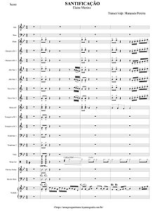 Santificação - Elaine Martins