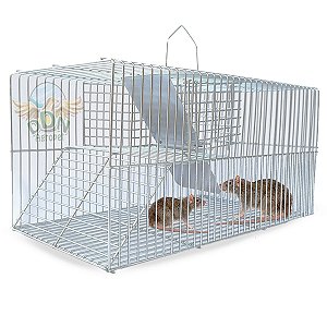 Gaiola Ratoeira Capturar Ratos Ratazana Grande - Piso Falso