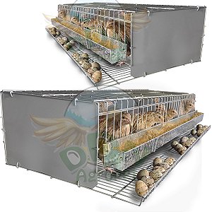 Kit 2 Gaiolas Codorna Japonesa Poedeira 3 Divisão Total 30 aves