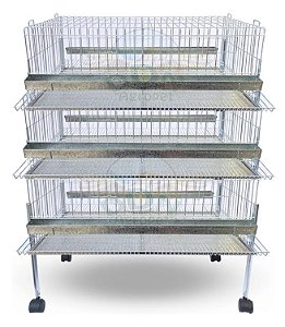 Kit 3 Gaiola Codorna Gigante Poedeira Base Bateria 60 Aves