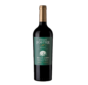 Enrique Foster Single Vineyard Los Altepes Malbec