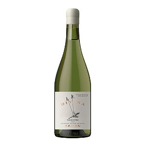 Kaiken Divina Torrontés