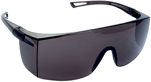Óculos de Segurança Delta Plus Sky Lente Fumê CA 39878