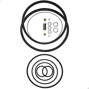 Jogo Reparos P/ Placa Pneumática Onça Pp200 (sem sapatas)