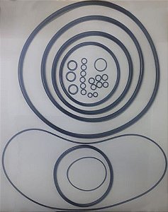Jogo De Reparos (o´ring) Para Placa Onça Pp250