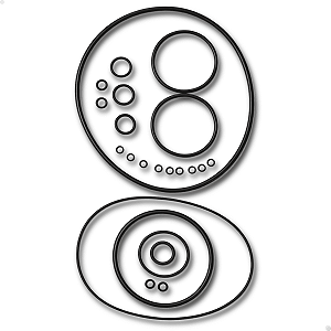 Jogo De Reparos (o´ring) Para Placa Onça Pp125