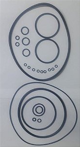 Jogo De Reparos (o´ring) Para Placa Onça Pp125