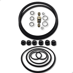 Jogo Reparos Completo Placa Pneumática Onça Pp200