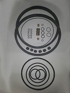 Jogo Reparos Completo Placa Pneumática Onça Pp200