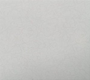 Papel de parede S & L 27 0704