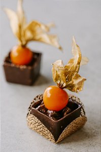 Vasinho de Physalis (10 unid) - zero açúcar, vegano, sem glúten, sem lácteos