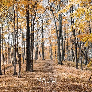 VELA CASCAS E FOLHAS