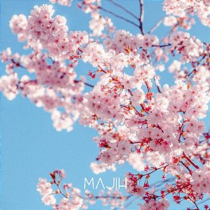 VELA FLOR DE CEREJEIRA