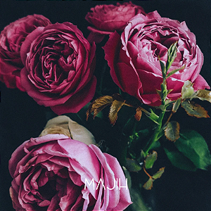 VELA MAGNÓLIA & PEÔNIA