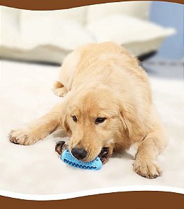 Brinquedo Mordedor Limpa Dentes para Cães