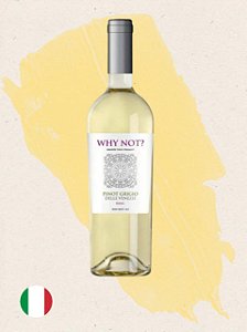 Why Not Pinot Grigio