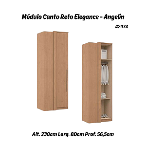 Módulo Canto Reto 01 Porta Elegance 4207A - Angelin - Móveis Castro