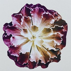 JOGO AMERICANO SEA FLOWER