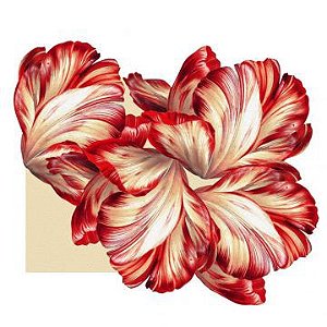 JOGO AMERICANO TULIPA