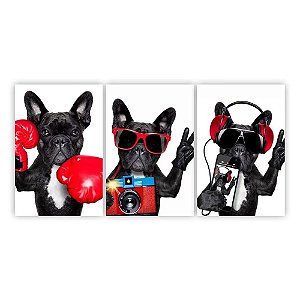 Quadros Decorativos Quarto Cachorro Buldogue Francês