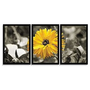 Quadro 3 Peças Girassol