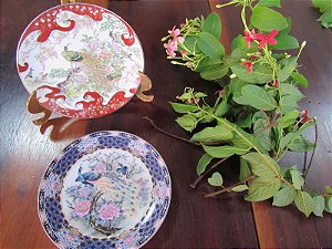 Pratos Orientais faisões  rica borda guirlandas florais
