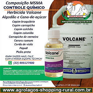 Herbicida Volcane Seletivo Fracionado 100 ml - Composição MSMA Algodão e Cana-de-açúcar