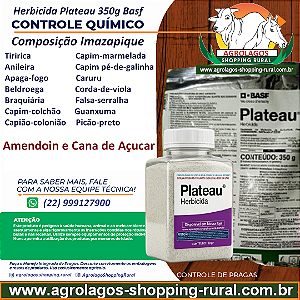 Herbicida Plateau 100 gr - Composição Imazapique Controle de Tiririca