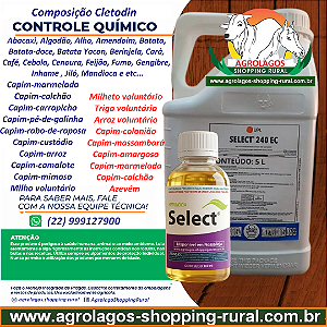Herbicida Graminicida Select 240 Fracionado 100 ml - Composição Cletodin
