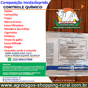 Inseticida Evidence 700 - 30 gr - Composição Imidacloprido