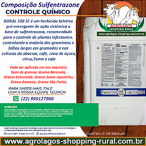 Herbicida Boral 500 10 Litros - O Melhor para Gramados -Sulfentrazona