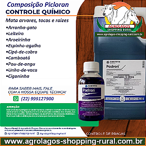 Herbicida Padron Fracionado 100 ml - Mata Arvores, Tocos e Raízes Picloran