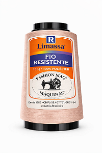 Fio Resistente Cor 244 Duna 100g Marca Resistente 100% Poliéster