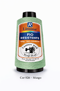 Fio Resistente Cor 026 Verde Farda 100g Marca Resistente 100% Poliéster