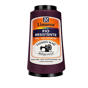 Fio Resistente Cor 043 Berinjela 100g Marca Resistente 100% Poliéster