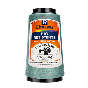 Fio Resistente Cor 085 Verde Nativa 100g Marca Resistente 100% Poliéster