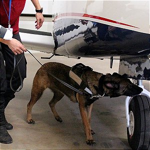 Varredura preventiva