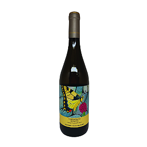 Vinho Branco Garganega Veneto 2021 750ml