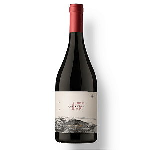 Vinho Tinto Otronia 45 Rugientes Pinot Noir 2021 750 ml