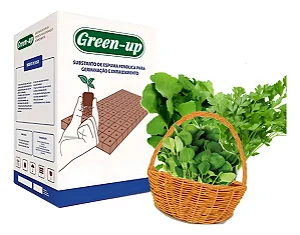 Espuma Fenólica Green-up