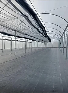 Estufas Metálicas