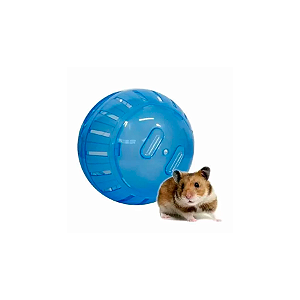 Brinquedo Bola Globo Exercício Hamster Pequena
