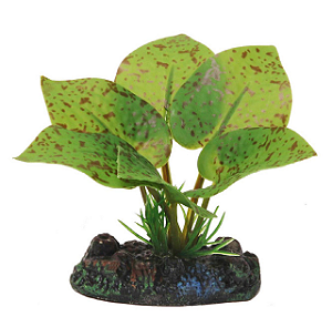 Acess. Planta Eva Soma Echinodorus Ozelot 4 Cm