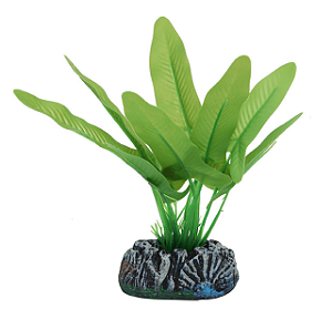 Acess. Planta Eva Soma Ninfeia Verde 13 Cm