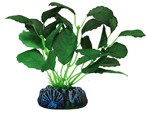 Acess. Planta Silk Soma Echinodorus 13 Cm