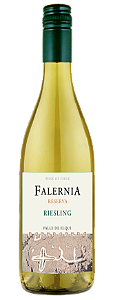 Falernia Reserva Riesling 2023