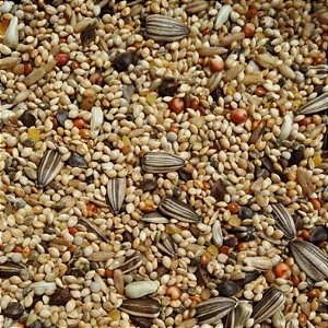Ração Mix para Calopsita Agapornis e 500 g A granel