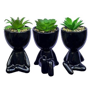 Kit 3 Vasinhos + Suculenta Robert Plant